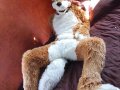 1265921476.kiowolf_dsc_3276.jpg